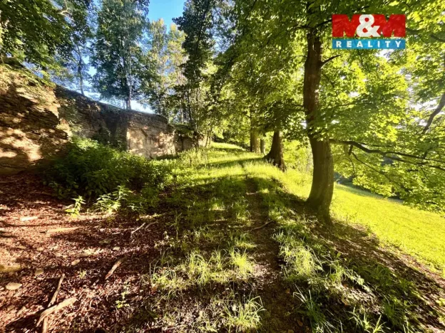 Prodej louky, Teplice nad Metují - Horní Teplice, 5449 m2