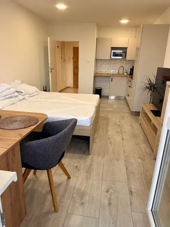 Prodej bytu 1+kk, Rožnov pod Radhoštěm, Meziříčská, 27 m2