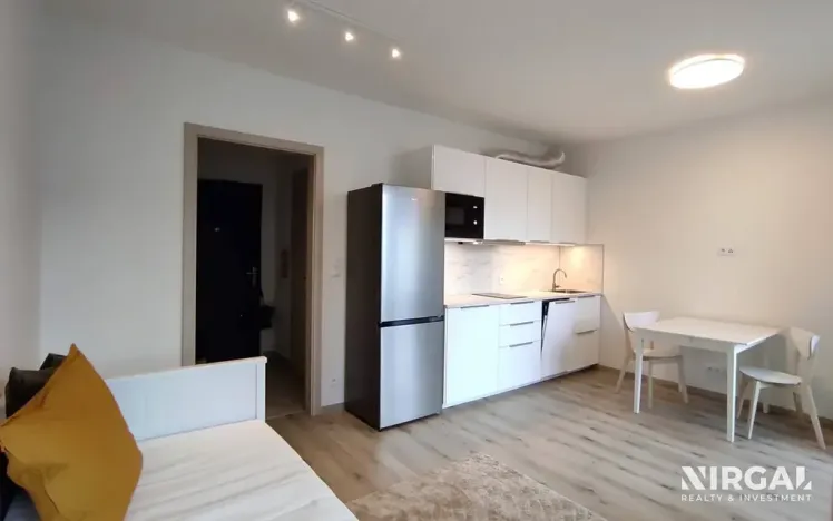 Pronájem bytu 1+kk, Praha - Chodov, Šternovská, 30 m2