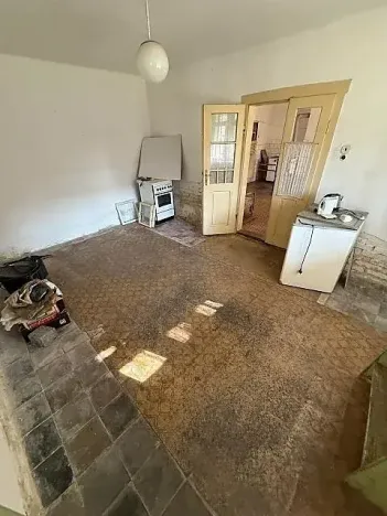 Prodej vícegeneračního domu, Opočnice, 604 m2