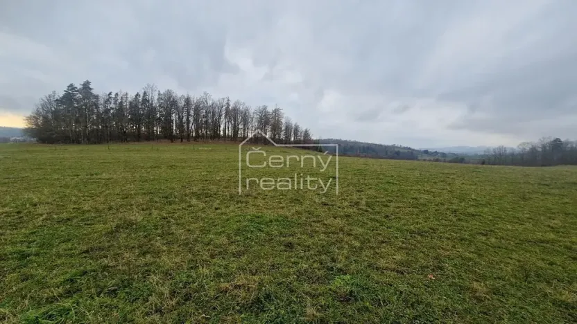 Prodej pozemku pro bydlení, Černý Důl, 1882 m2