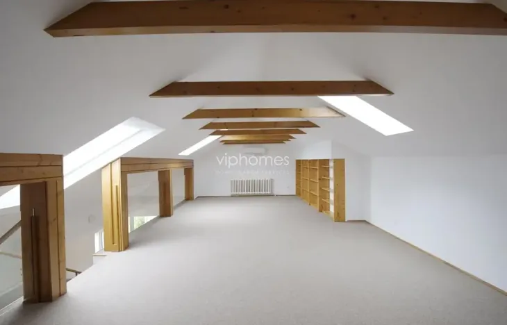 Pronájem bytu 6+kk a větší, Praha - Braník, Psohlavců, 290 m2