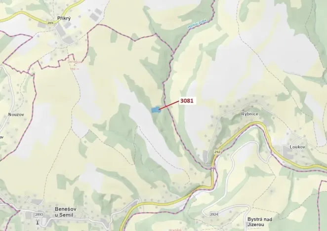 Dražba lesa, Benešov u Semil, 6213 m2