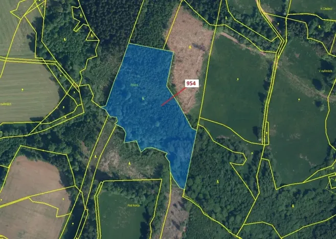 Dražba lesa, Bystrá nad Jizerou, 20539 m2