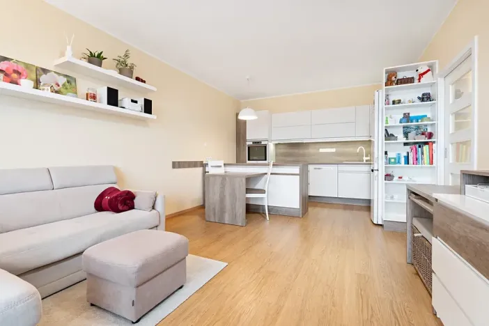 Prodej bytu 2+kk, Plzeň, Sladová, 54 m2