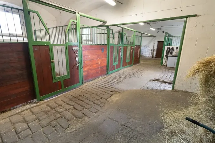 Prodej zemědělské usedlosti, Bžany, 240 m2