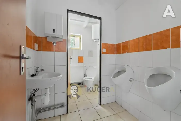 Prodej komerční nemovitosti, Velká Chmelištná, 550 m2