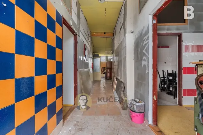 Prodej komerční nemovitosti, Velká Chmelištná, 550 m2