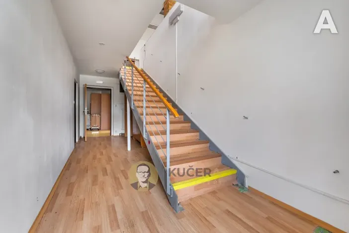 Prodej rodinného domu, Velká Chmelištná, 550 m2