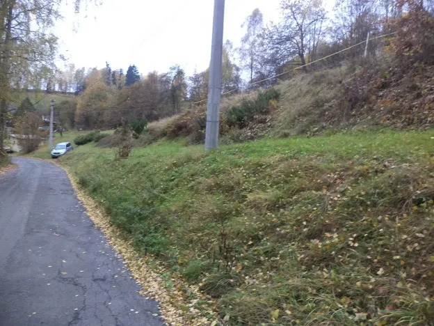 Prodej pozemku, Zlatá Olešnice, 792 m2