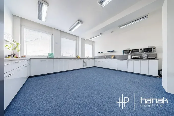 Pronájem kanceláře, Olomouc, Karolíny Světlé, 200 m2