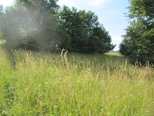 Prodej pole, Březůvky, 9747 m2