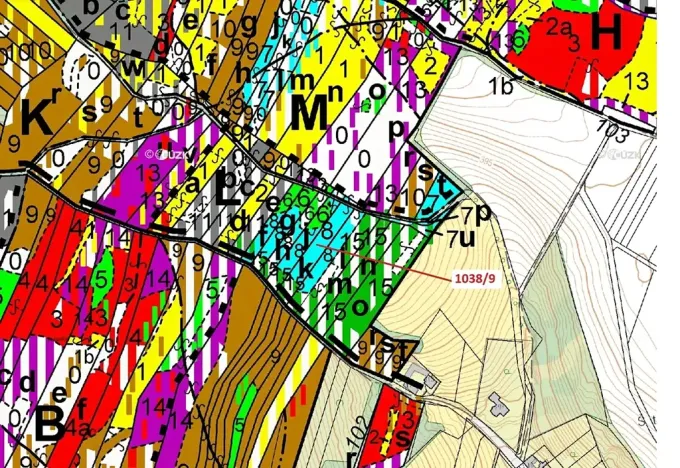 Dražba lesa, Veverské Knínice, 2213 m2