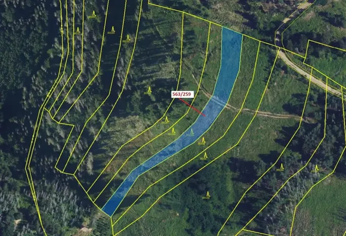 Dražba lesa, Spešov, 2318 m2