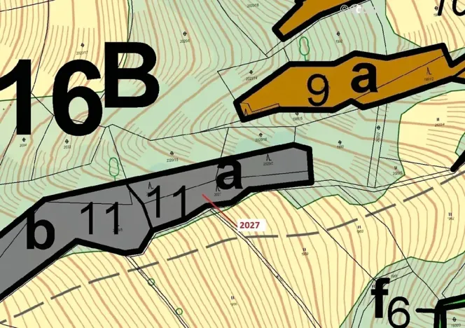 Dražba lesa, Hovězí, 1252 m2