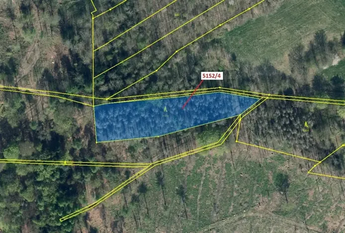 Dražba lesa, Mikulášovice, 3638 m2