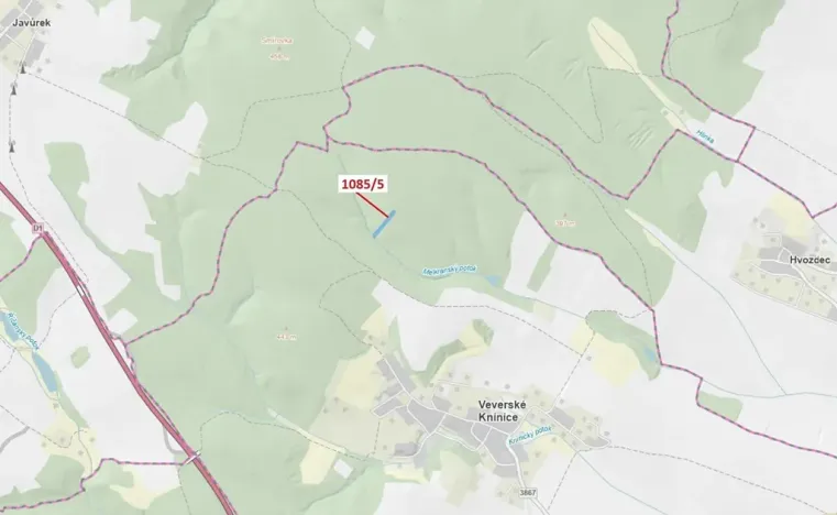 Dražba lesa, Veverské Knínice, 3926 m2