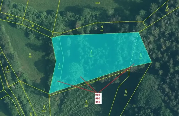 Dražba lesa, Rabí, 4276 m2