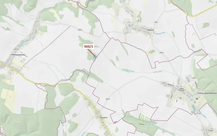 Dražba lesa, Přemyslovice, 7049 m2