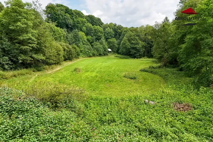 Prodej rybníku, Petrov, 7803 m2