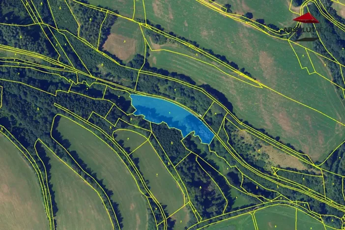 Prodej rybníku, Petrov, 7803 m2