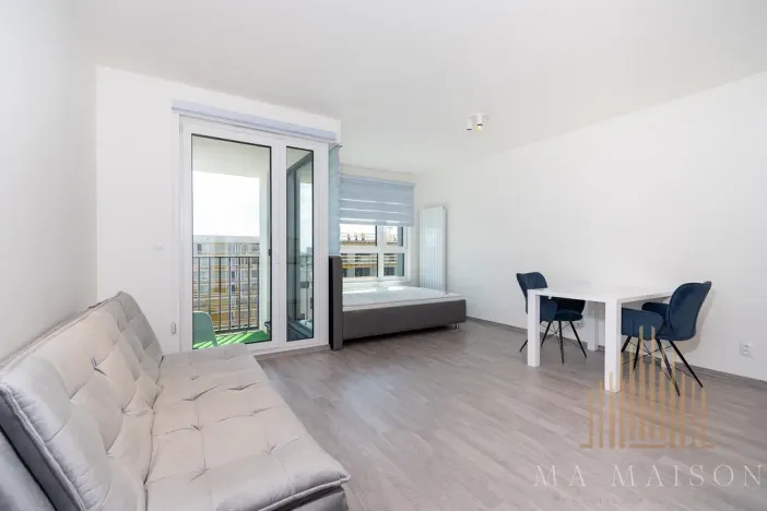 Pronájem bytu 1+kk, Praha - Žižkov, Olgy Havlové, 38 m2