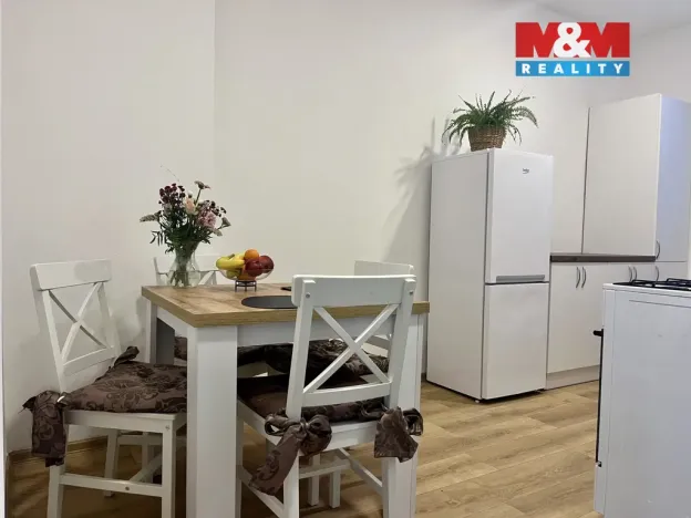 Prodej bytu 1+1, Ústí nad Labem - Ústí nad Labem-centrum, Pasteurova, 37 m2