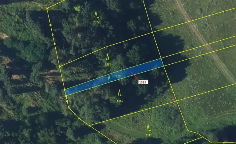 Dražba lesa, Spešov, 316 m2