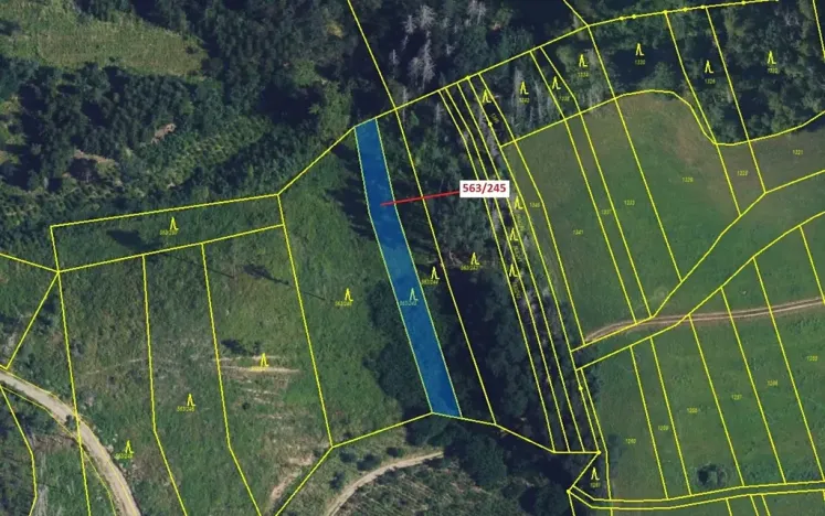 Dražba lesa, Spešov, 1009 m2