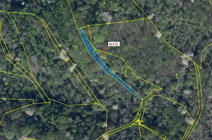 Dražba lesa, Zubrnice, 815 m2