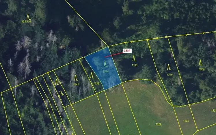 Dražba lesa, Spešov, 420 m2