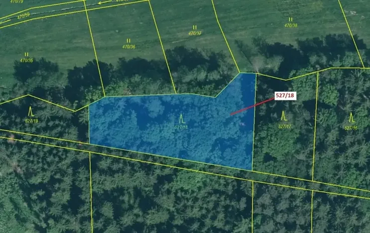 Dražba lesa, Stehlovice, 2071 m2