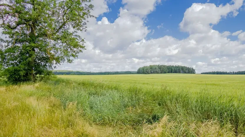 Prodej pozemku pro bydlení, Olbramov, 2128 m2