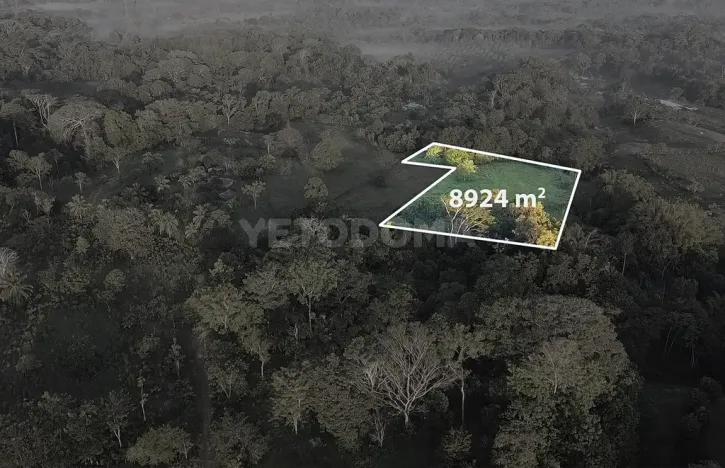 Prodej pozemku pro bydlení, Puerto Jiménez, Kostarika, Calle Los Pollos, 8924 m2