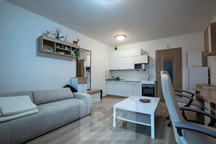 Pronájem bytu 1+kk, Praha - Horní Měcholupy, Mantovská, 31 m2