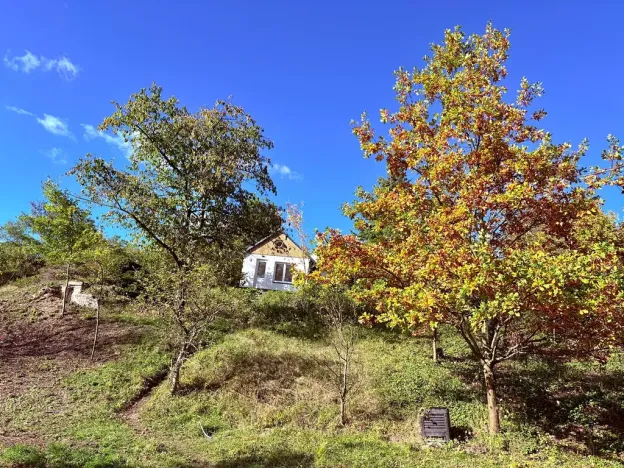 Prodej chaty, Štětí, 48 m2