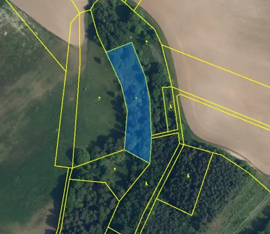 Prodej louky, Sychrov, 4569 m2