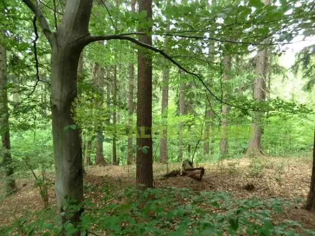 Prodej lesa, Zlín, 179312 m2