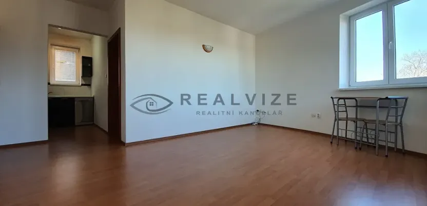 Pronájem bytu 2+kk, České Budějovice, Litvínovická, 50 m2