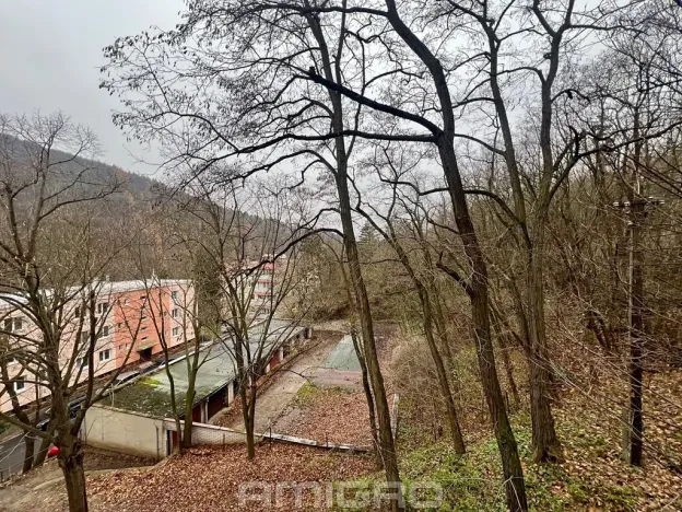 Prodej bytu 2+1, Brno, Podlesí, 53 m2