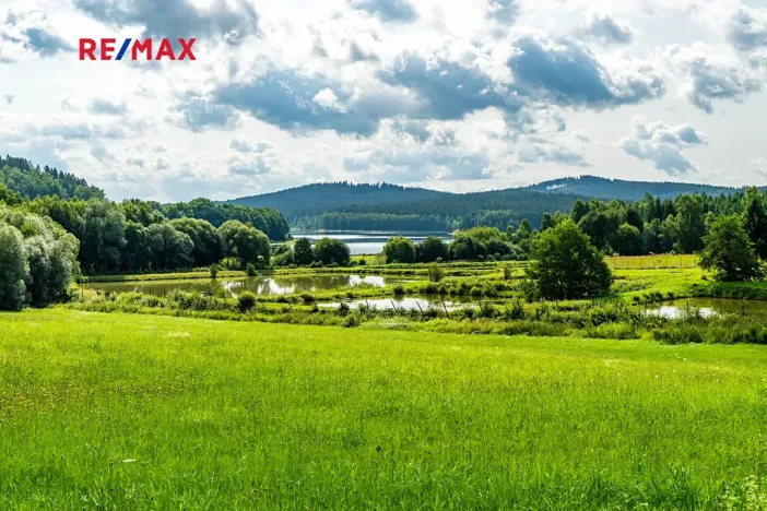 Prodej komerčního pozemku, Nová Pec, 9752 m2