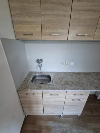 Pronájem bytu 1+1, Děčín, Podmokelská, 39 m2