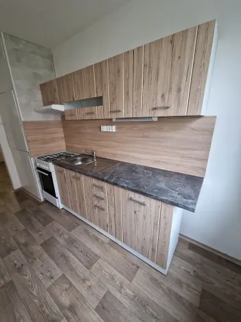 Pronájem bytu 4+1, Ústí nad Labem, Dr. Horákové, 84 m2