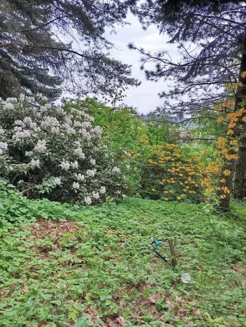 Prodej rodinného domu, Drslavice, 86 m2