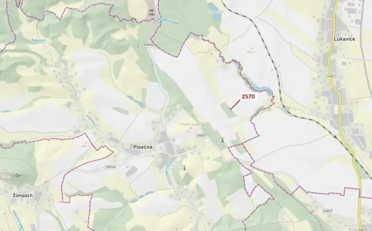 Dražba lesa, Písečná, 447 m2