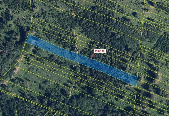 Dražba lesa, Nová Hradečná, 5079 m2