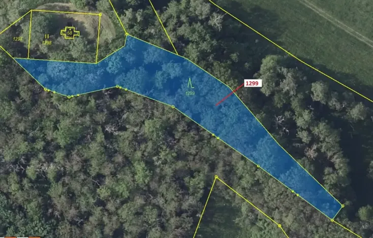 Dražba lesa, Stebno, 2275 m2