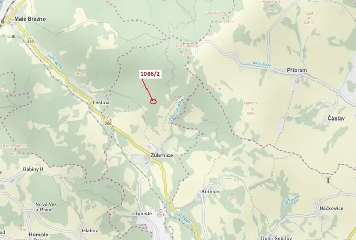 Dražba lesa, Zubrnice, 26 m2