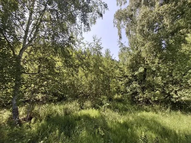 Prodej pozemku, Pomezí nad Ohří, 39941 m2