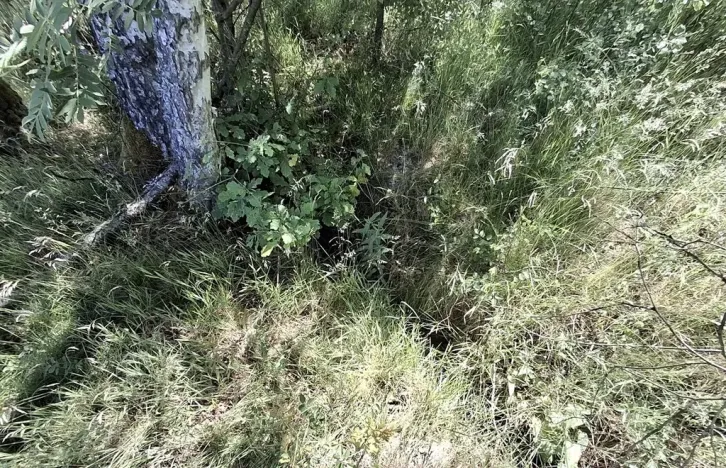 Prodej pozemku, Pomezí nad Ohří, 39941 m2